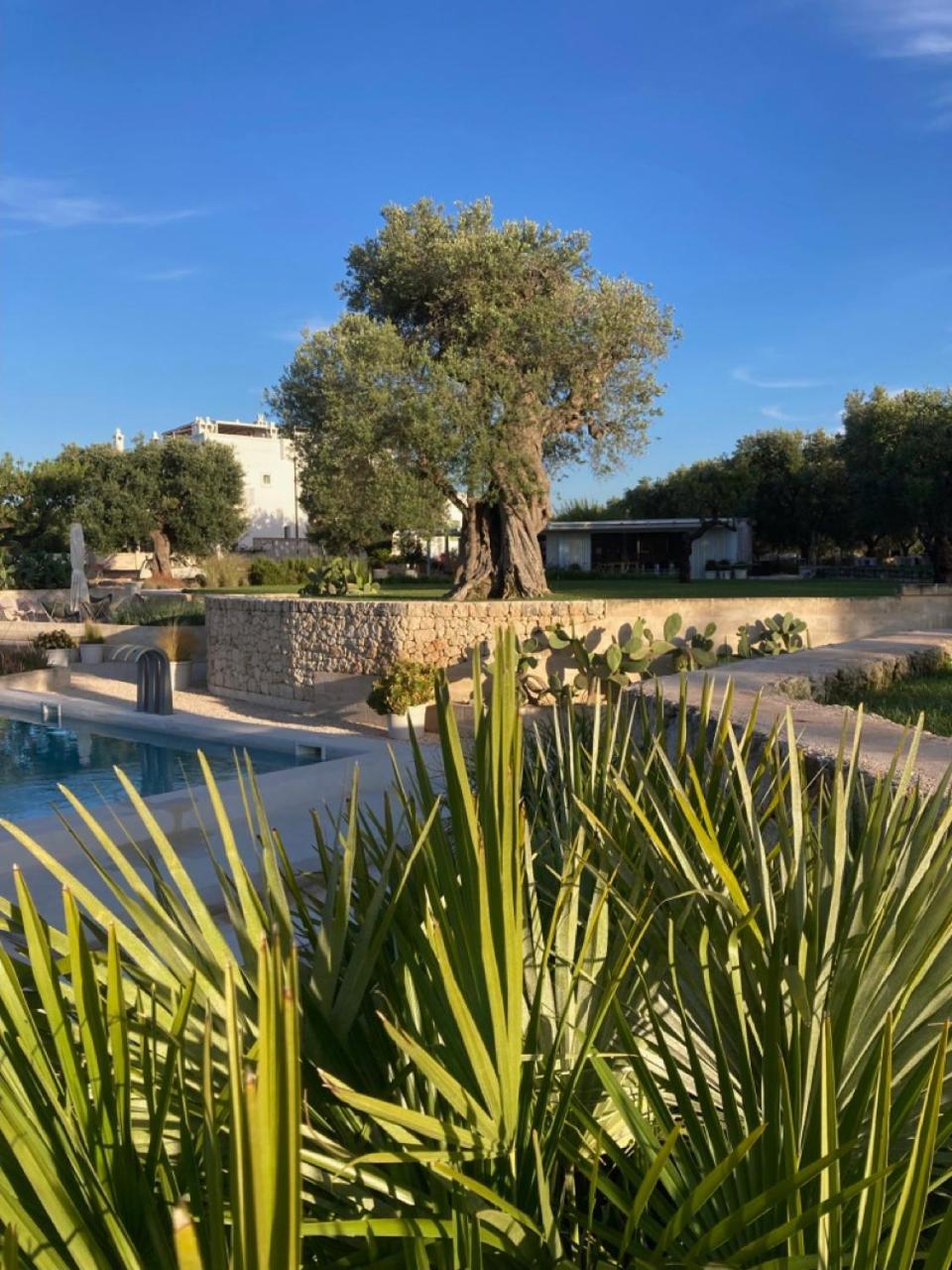 Boutique Hotel Masseria Sottomasi Savelletri Exterior foto