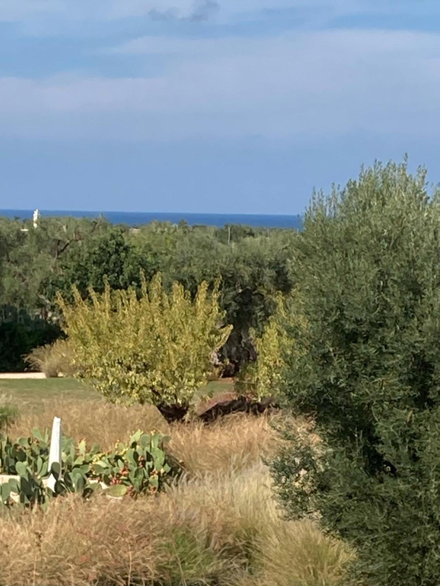 Boutique Hotel Masseria Sottomasi Savelletri Exterior foto